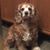Karen Malinowski's profile image