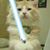 Susan Le Geyt's profile image