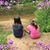 Andrea Hamrick Liddle's profile image