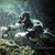 Olivier Bertieaux's profile image