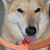 Diane Bunnell's profile image