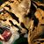 Jim Cicala's profile image