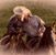 Matthew L Jobe's profile image
