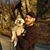 Laura Ann Williams's profile image
