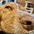 Jason Jones's profile image