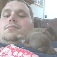 David Harkness's profile image