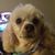 Mel Panozzo James's profile image