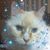 Michelle Lee Baker's profile image