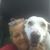 Sally Brown's profile image