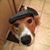 Cheryl Burton's profile image
