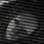 Sarah Elizabeth Podkowa's profile image