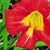 Tamara Flowers's profile image