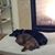 Claire McCune Roessel's profile image