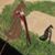 Linda Nelson's profile image