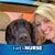Teri Moses's profile image