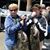 Denise James's profile image