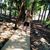 Hein Htoo Arnt's profile image