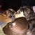 Zoe Tina Petras's profile image