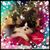 Tammy Grafton's profile image