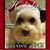 Sue Bridges Brouty's profile image