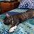 Regina M. Fusco's profile image