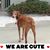 Anita La Mont's profile image