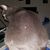 Melissa McGrew's profile image