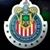 Jose Cuevas's profile image