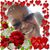 Barb Abram's profile image