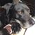 LouAnn Doncsecz's profile image