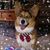 Donna M Couture's profile image