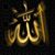 Ahmed Youssef Salah's profile image