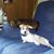 Rebecca Williams's profile image