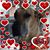 Karen Jensen's profile image