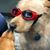 Jill Brogan's profile image