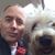 David Gallo's profile image