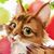 Teresa Fawber's profile image