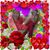 Isabel Guerrero's profile image