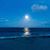 Susan Hoffman Yespy's profile image