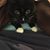 Jody Skipworth's profile image