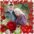 Alexiss Holden-Balch's profile image