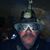 Tom Ellison's profile image
