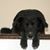 Rick Knudson's profile image