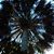 Jacqueline Flotte Allerton's profile image