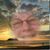 Pam M Ford Cool's profile image