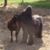 Barbara Lee's profile image