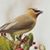 Jeri Earl's profile image
