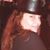 Shelly Senn Sparks's profile image