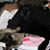 Tina Everett's profile image