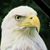 Brian Rockett's profile image